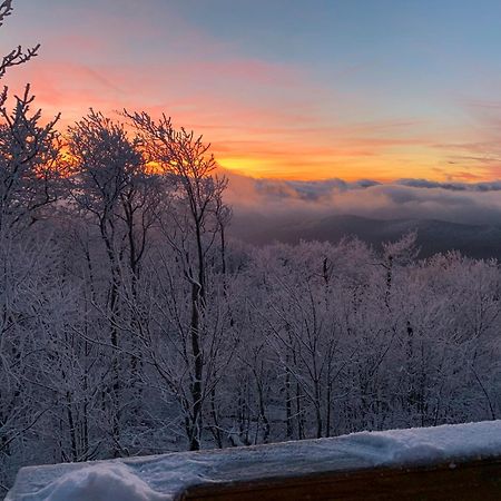 Above The Clouds Villa West Jefferson Eksteriør billede